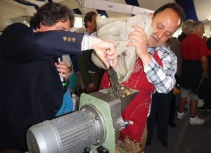 DSCN4835 Morturación de Oliva