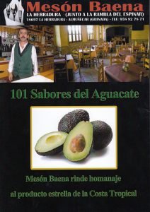 101 Sabores del Aguacate