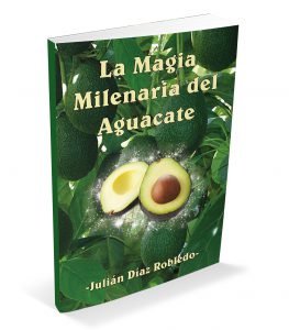 La magia milenaria del aguacate portada 1 3d