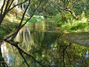 P1010013 Remanso de agua