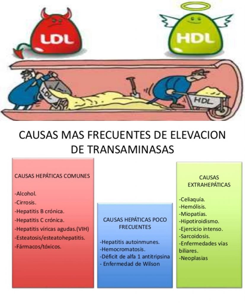 Imagen Cómo Interpretar los Valores de un Análisis de Sangre (III)