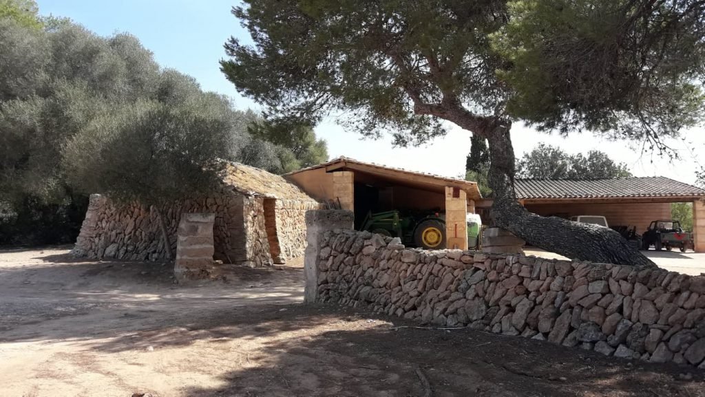 67873068_477185329767048_6559314418553847808_o