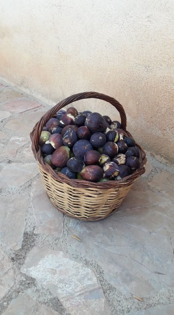 67963099_477182473100667_1452451626181722112_o