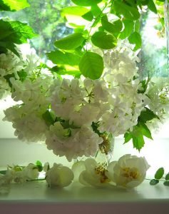 183400_132563023481915_117762934961924_227524_801161_n