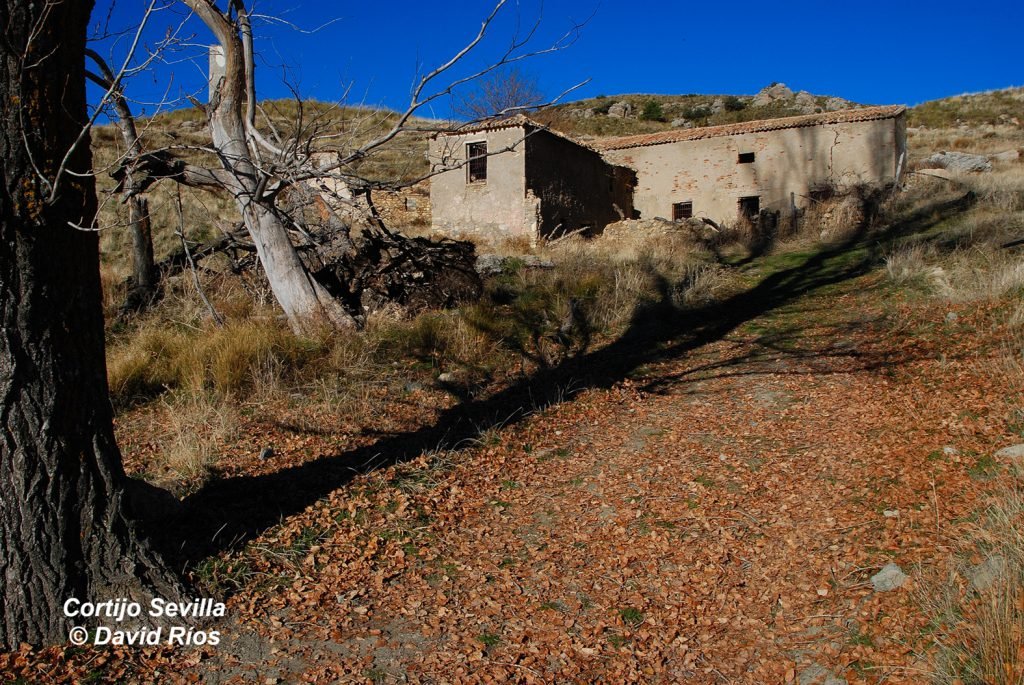 Foto 2 Cortijo Sevilla