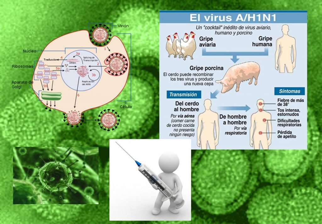 38 - El Virus Influenza y la Vacuna de la Gripe