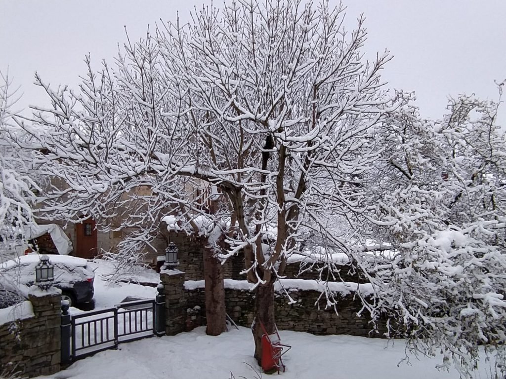 c7c77e6b-5400-4dee-92eb-58ade1d36bd1