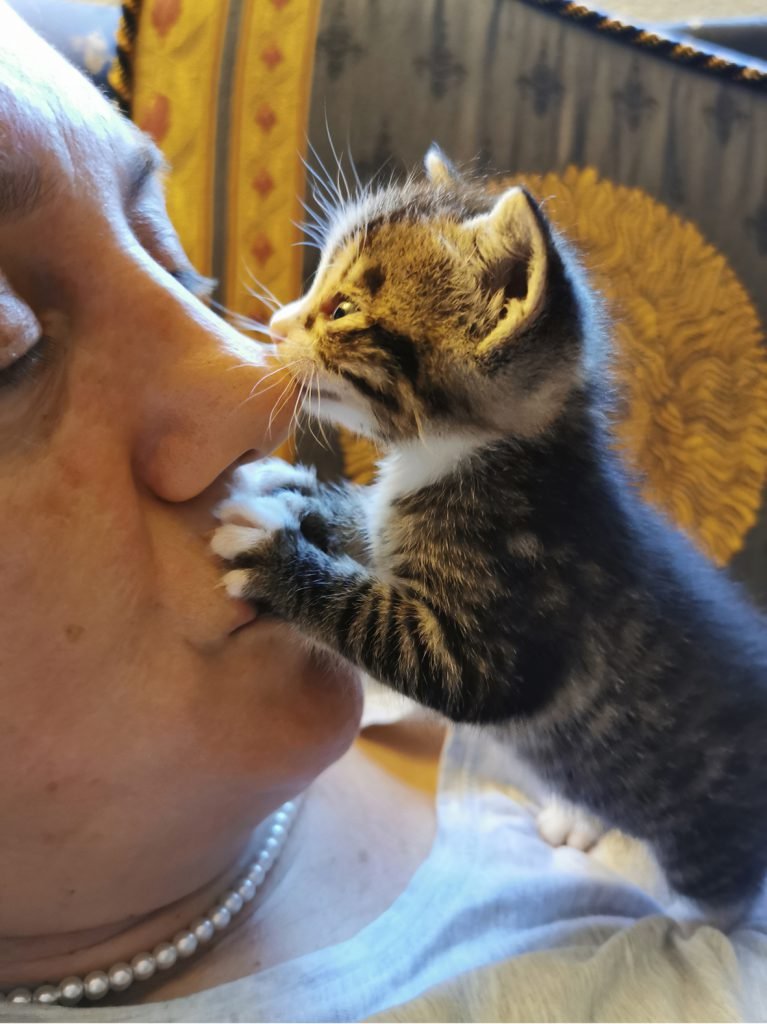 con gatino rescatado