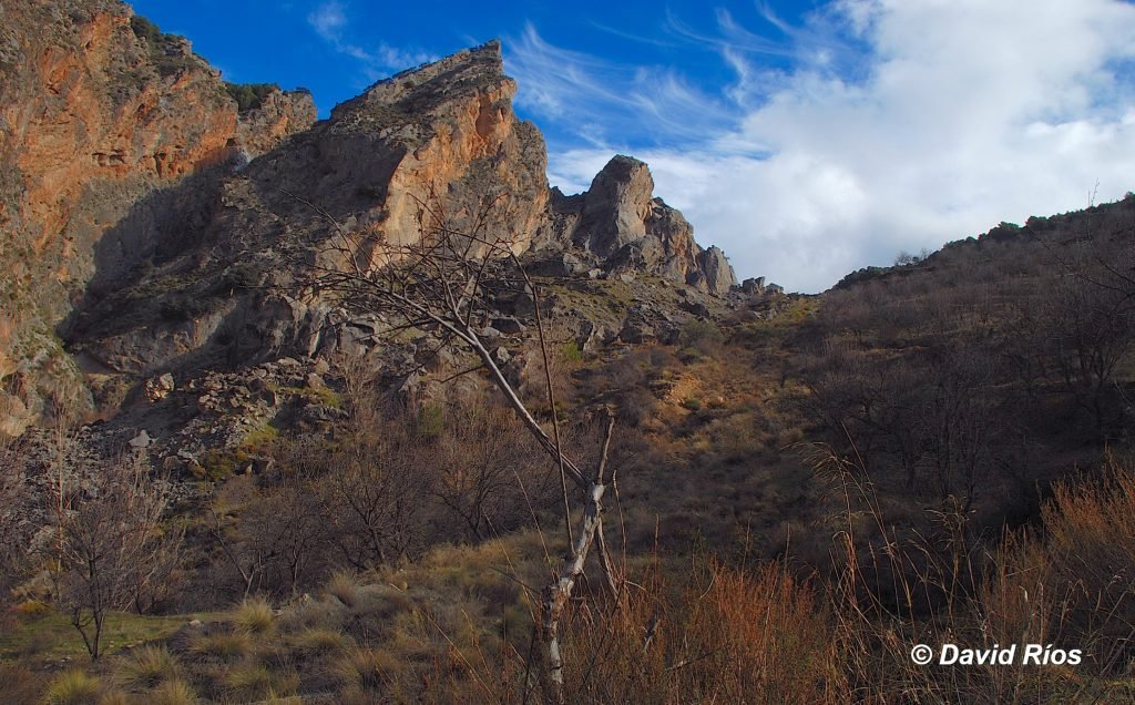 Fig 2 RUTA abril 2021