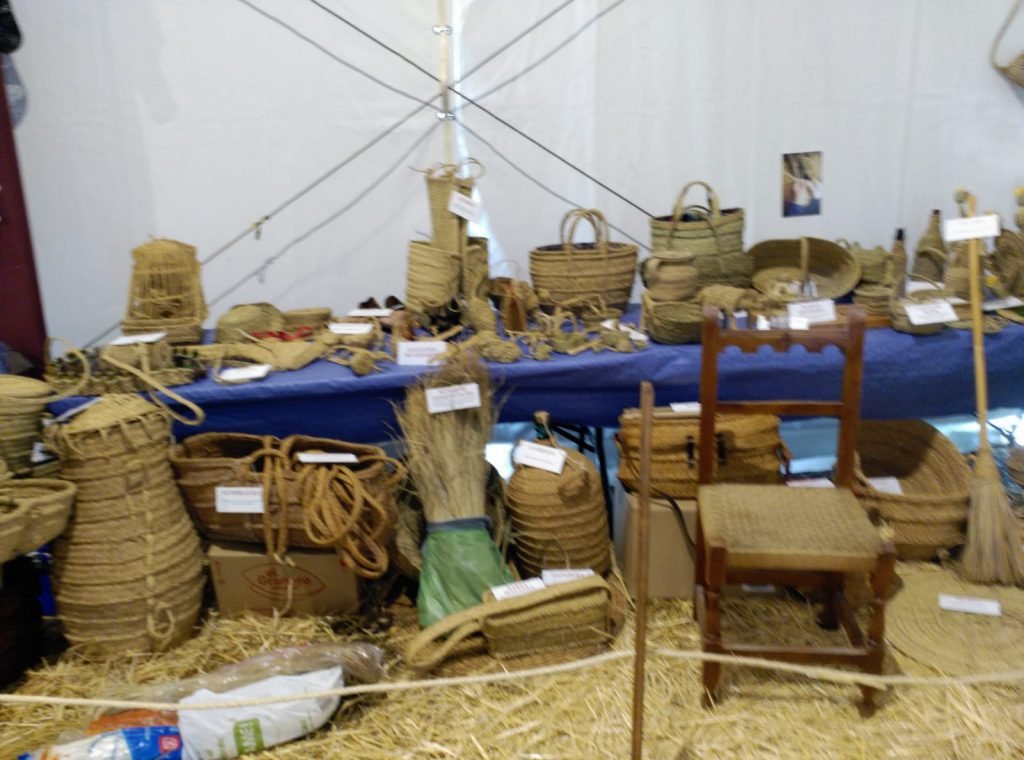 WhatsApp Image 2021-06-17 at 12.45.45 (4)