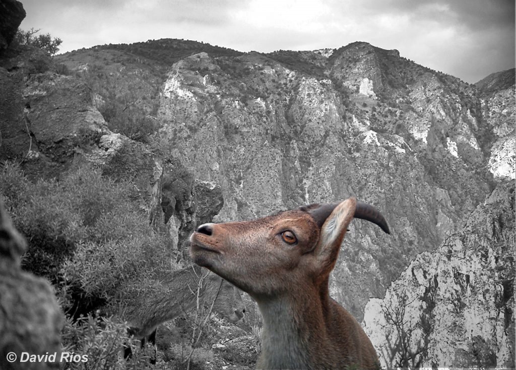 foto diciembre 2021 web