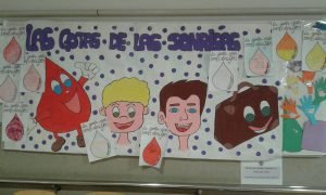 WhatsApp Image 2018-02-08 at 09.43.18 - Còpia