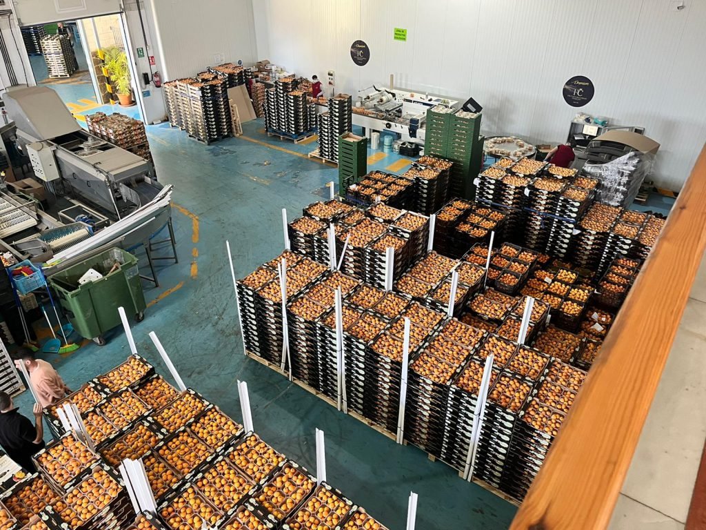 WhatsApp Image 2022-05-12 at 1.42.07 PM