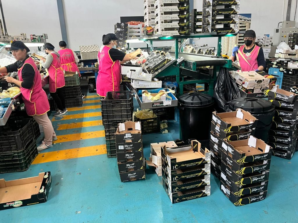 WhatsApp Image 2022-05-12 at 1.42.09 PM