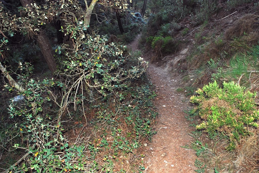 Mala Mujer 10001 web