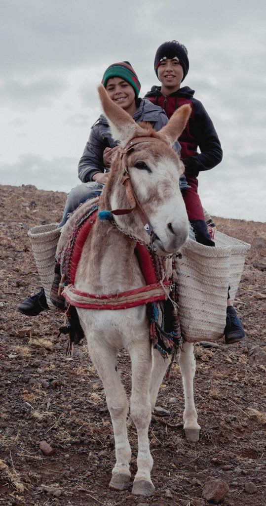 pexels-oussama-zidane-10808788 web