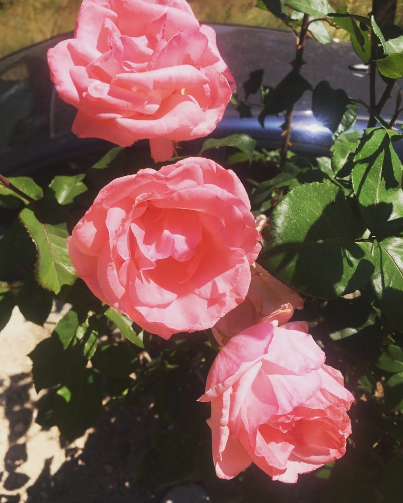 4267DC4F-FF69-4640-A5CD-42AAC005458E