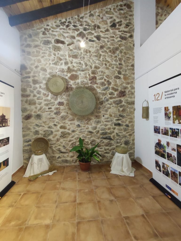 WhatsApp Image 2022-09-21 at 01.16.30